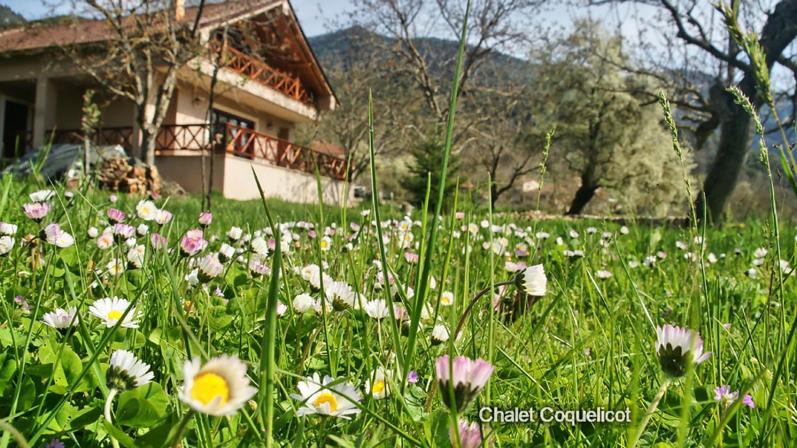 Chalet Coquelicot Kalavryta Eksteriør billede