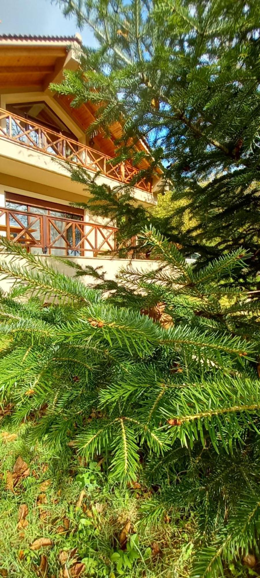 Chalet Coquelicot Kalavryta Eksteriør billede